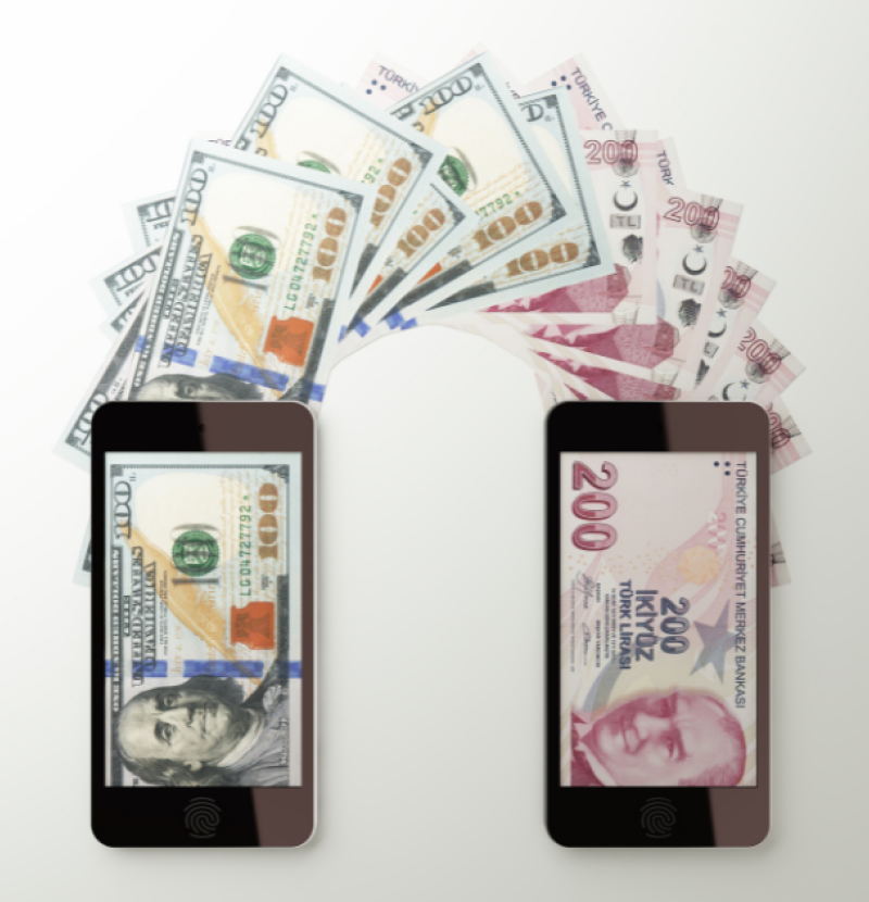 The Essential Role of Payments Partners for International Remittance Operators cover